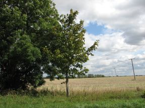 Greenwich Meridian Marker; England; Cambridgeshire; Orwell